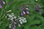 PrenonsLeTempsDeRegarder_dsc_0088.jpg
